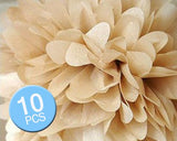 Paper Pom Pom Flower Ball Wedding Decoration